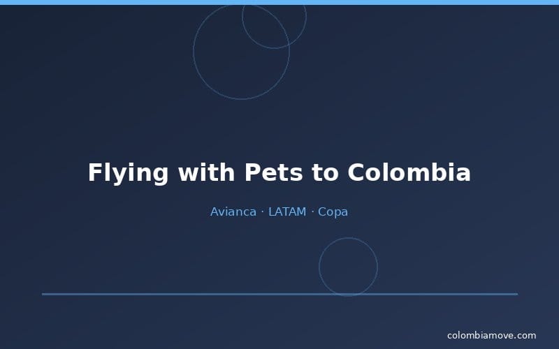 Airline pet policies for Colombia - Avianca, LATAM, Copa comparison