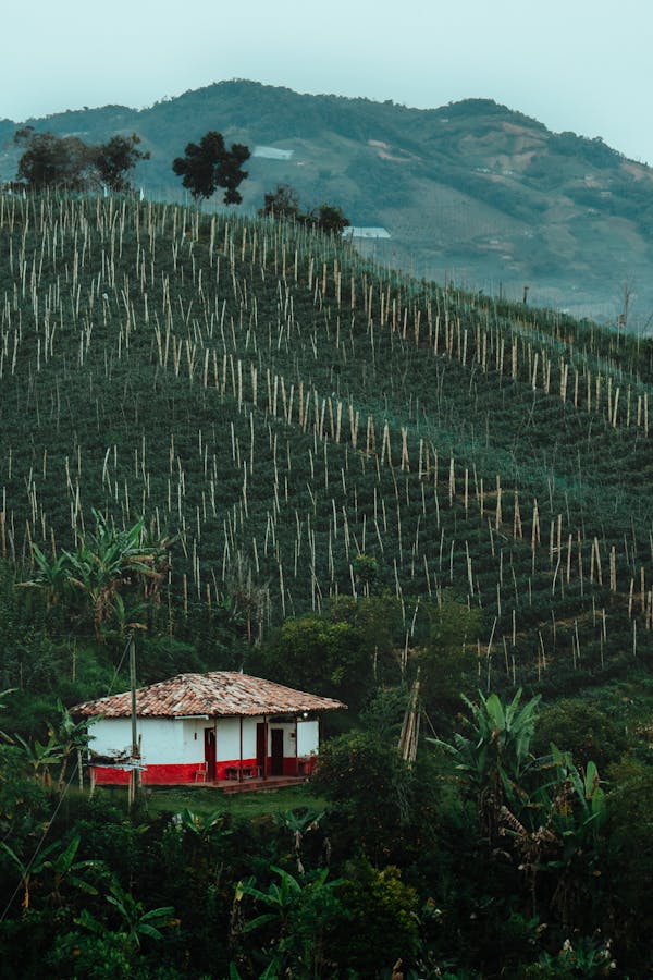 Finca tradicional en las montañas de Antioquia, Colombia
