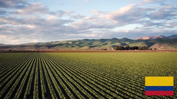 Buying Rural Land in Colombia as a Foreigner: Laws, Risks & How to Do It Right