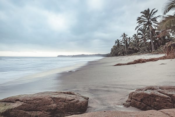 Sunrise at Palomino beach, Colombia — palm trees and Caribbean sea